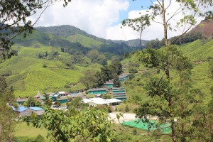 Cameron Highlands-069